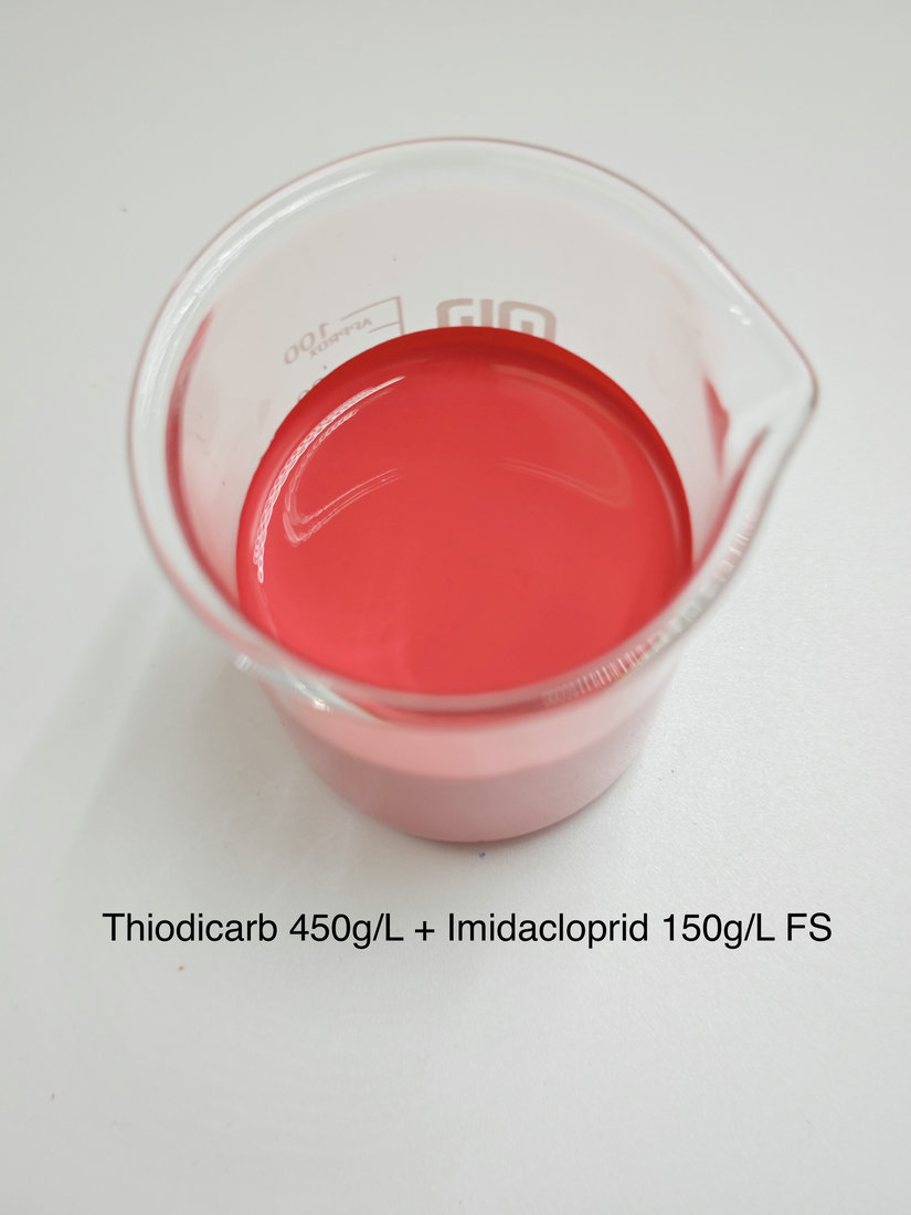Thiodicarb 450g/L + Imidacloprid 150g/L FS
